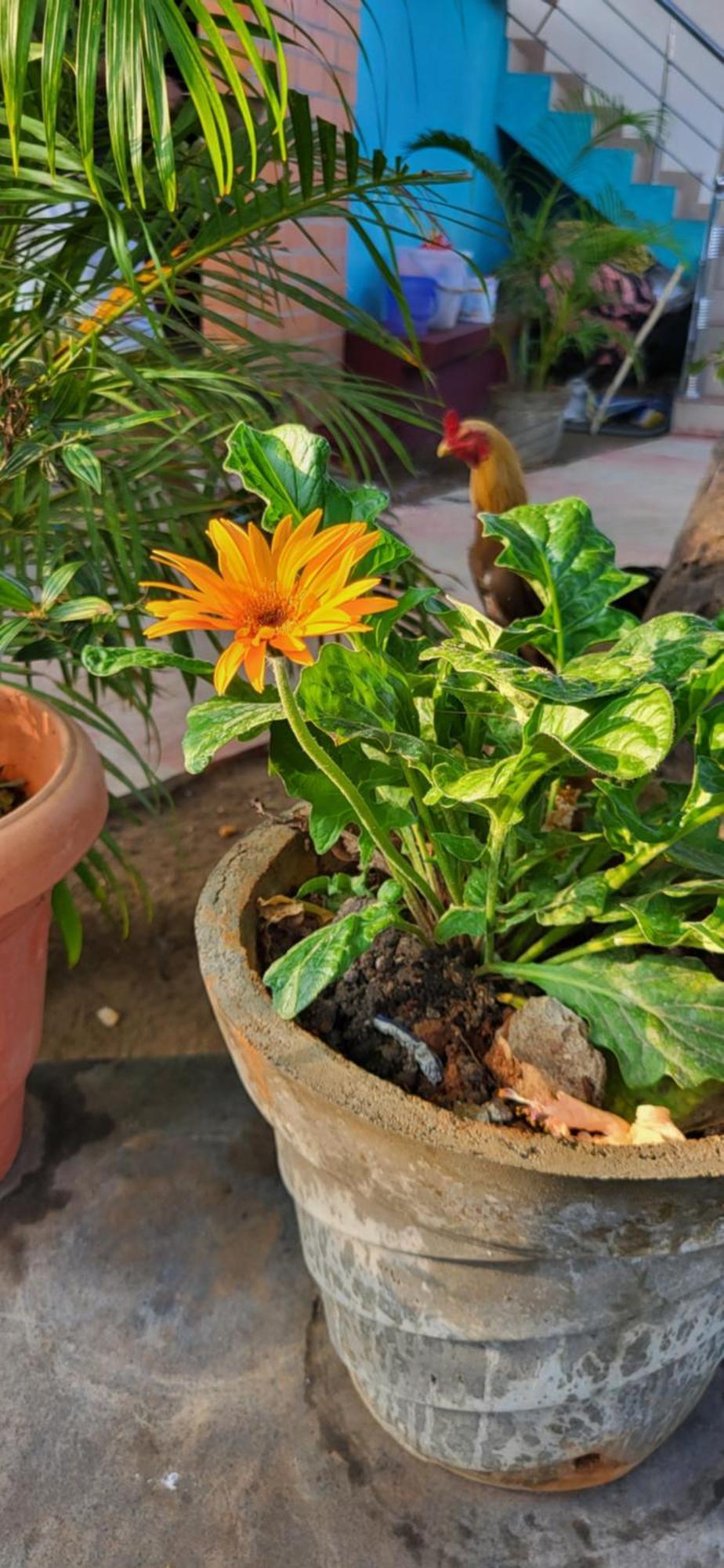 Victoria'S River View Resort Pondicherry Bagian luar foto